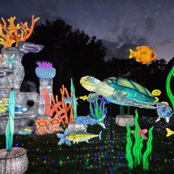 Boston Lights: A Lantern Experience