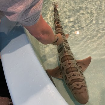 Ocean World - Aquariums Near Me - Crescent City, California