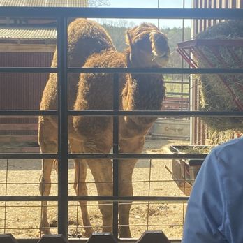 HOCHATOWN RESCUE CENTER AND PETTING ZOO Updated April 2025 226