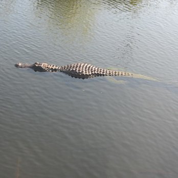 Big Cypress Oasis Visitor Center - Visitor Centers Near Me - Ochopee, Florida Big Cypress Oasis Visitor Center - Visitor Centers Near Me - Ochopee, Florida