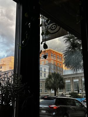 Pink Bellies by null