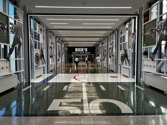 DICK'S House of Sport by null