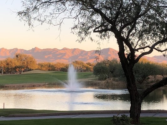 THE GRILL AT QUAIL CREEK - Updated January 2025 - 40 Photos & 91