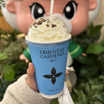 Molly Tea - Gardenia tea with snowy top aka jasmine whipped cream - Bubble Tea Near Me - Sunnyvale, California