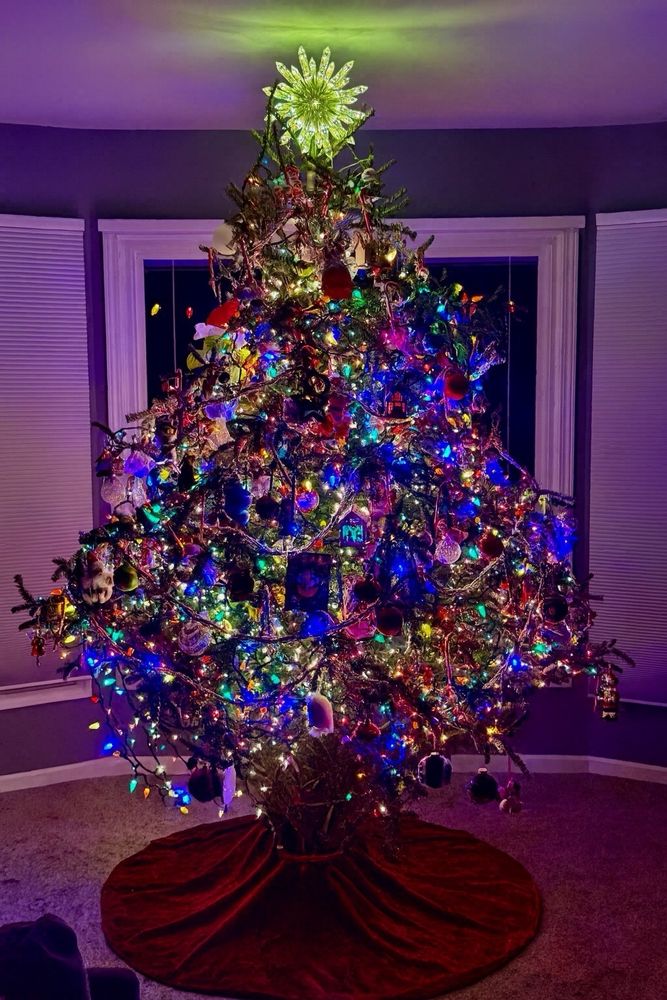 Fred Stempky Nursery Fresh Cut Trees