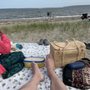Photo of compass rose beach