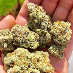 Growth Industries