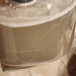 Quality Cleaning Service - Dirty water from another area that I paid to be cleaned.