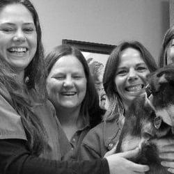Peotone Animal Hospital