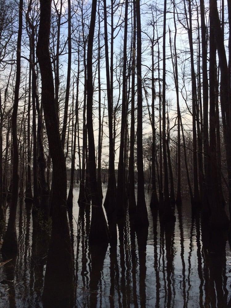 DEAD LAKES RECREATIONAL AREA Wewahitchka, FL Yelp