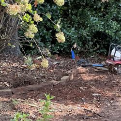 Pannone's Lawn Pros & Landscaping