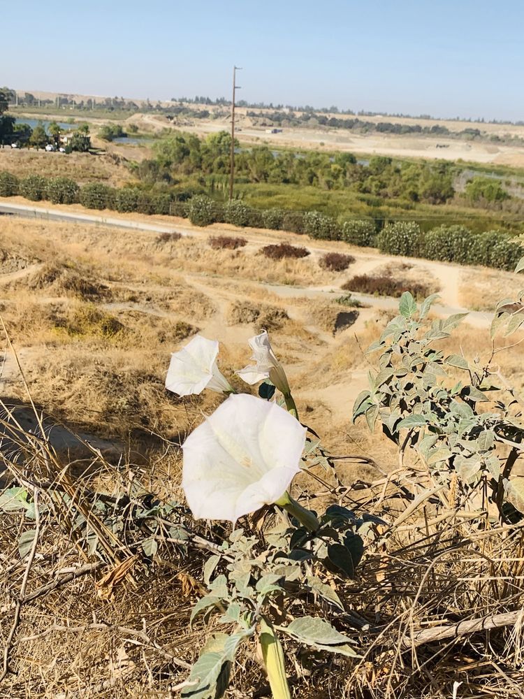 COPPER RIVER TRAILHEAD 23 Photos Hiking 1134612132 N Friant Rd