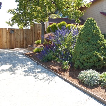 Sanchez - Front side yard AFTER. - Gardeners Near Me Sanchez - Front side yard AFTER. - Gardeners Near Me