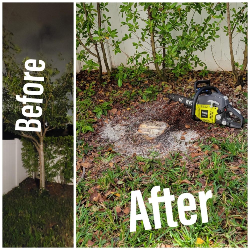 OMNI AMITY Updated August 2024 Request a Quote 24 Photos