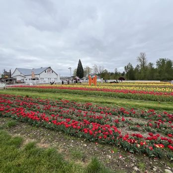 Maris Farms - Spring 2025 - Amusement Parks Near Me - Buckley, Washington