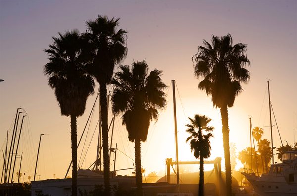 On The Alley Santa Barbara by null