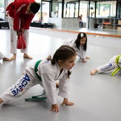 Achieve Martial Arts