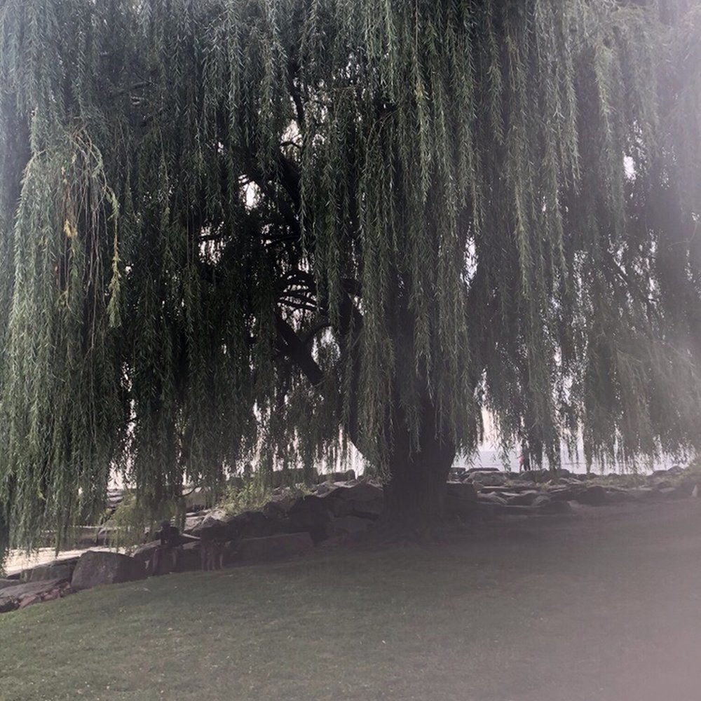Edgewater Park - Parks Near Me - Cleveland, Ohio