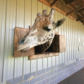 Zootastic Park - Zoos Near Me - Troutman, North Carolina Zootastic Park - Zoos Near Me - Troutman, North Carolina