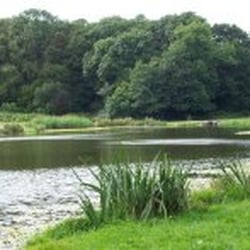 Parc Coed y Nant - Photo from Cardiff Council's website: www.cardiff.gov.uk