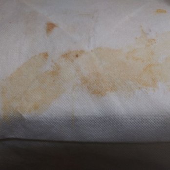The West Bank Inn - Puke or Poop??? You be the judge - Hotels Near Me - Augusta, Georgia