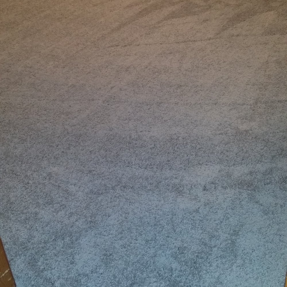 Carpet For Less - After they did all the vacuuming! - Carpeting Near Me - Belton, Missouri