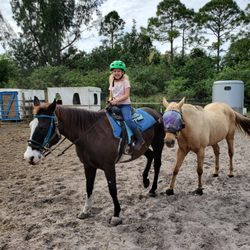 Just Horsn around Ranch