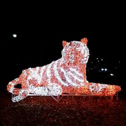 Christie Pits Tiger - That's it!