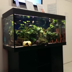 Heiko Hortig - Aquarium dans la salle d'attente