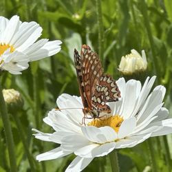 Wooldridge Creek Winery - Wildlife on the farm!