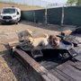 Photo of Fetch & Play