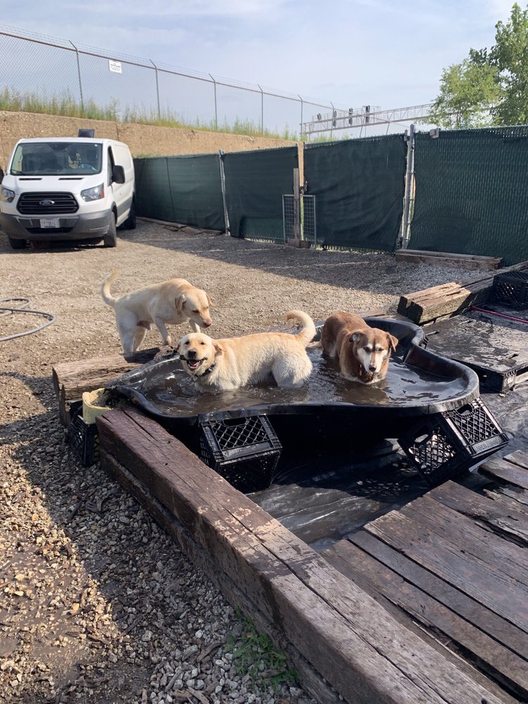 Fetch & Play - pet boarding facility in Chicago, IL
