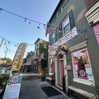 Moo Moo Cows - Ice Cream & Frozen Yogurt Near Me - Baltimore, Maryland Moo Moo Cows - Ice Cream & Frozen Yogurt Near Me - Baltimore, Maryland