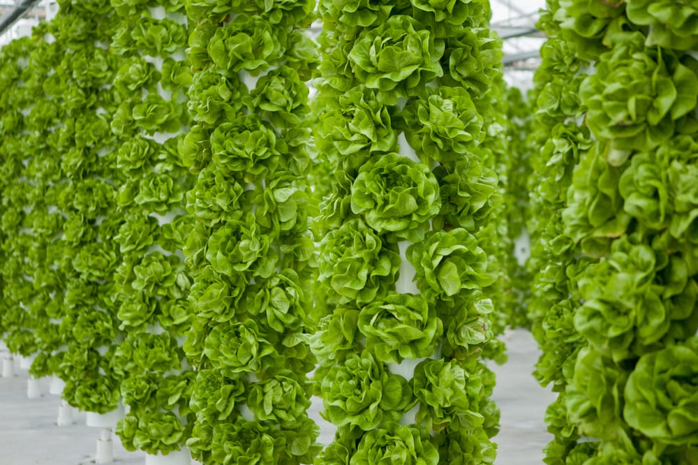 AERO DEVELOPMENT CORP Updated September 2024 5541 Old Philadelphia