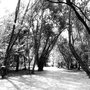 Photo of Parc Rivière