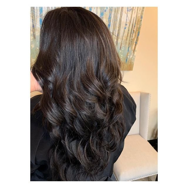 Sher Segal Hair Logo