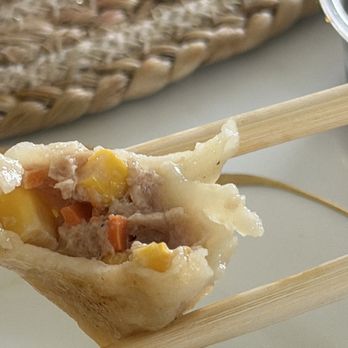 The Dumpling Zone - E5 Corn and Chicken Pan-fried Dumplings - Chinese Near Me - Houston, Texas