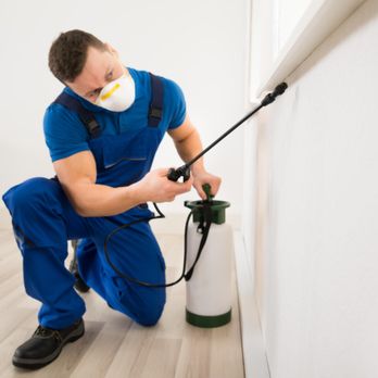 All Platinum Termite & Pest Control - We advise our clients to fix water leaks, eliminate standing water, throw away dead wood, and keep gutters clean... - Pest Control Near Me - Staten Island, New York All Platinum Termite & Pest Control - We advise our clients to fix water leaks, eliminate standing water, throw away dead wood, and keep gutters clean... - Pest Control Near Me - Staten Island, New York