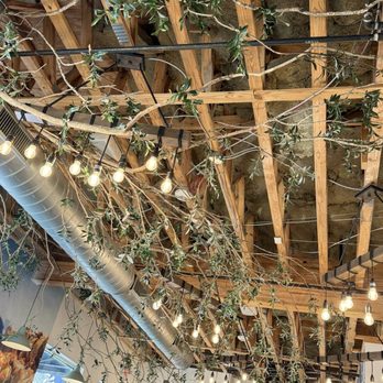 Ilios Crafted Greek - Olive Tree Ceiling - Mediterranean Near Me - Charlotte, North Carolina Ilios Crafted Greek - Olive Tree Ceiling - Mediterranean Near Me - Charlotte, North Carolina