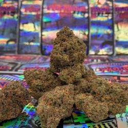Rick 420 - Indoor