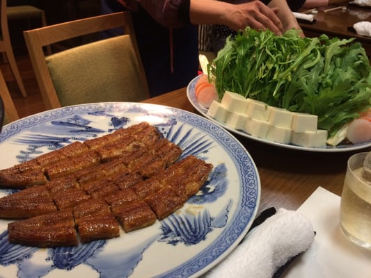 Honke Shibato by null