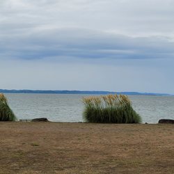 Ocean Shores Community Club - View of the beach