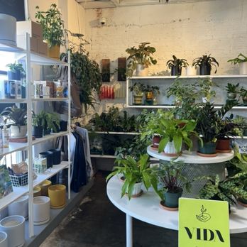 Good Time - plant corner - Coffee & Tea Near Me - Long Beach, California