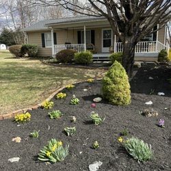 Excel Landscapes