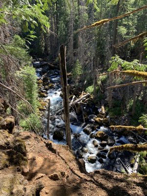 Tamolitch Falls (Blue Pool) by null