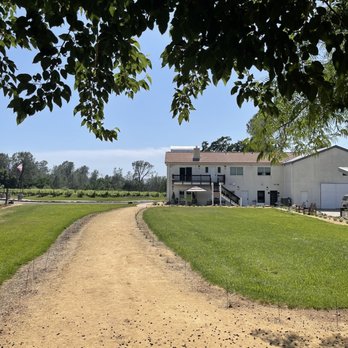 Odyssey Winery & Vineyards - a dirt road leading to the winery - Wineries Near Me - Chico, California Odyssey Winery & Vineyards - a dirt road leading to the winery - Wineries Near Me - Chico, California