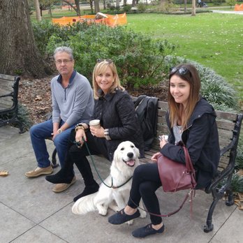 K9 Hero Obedience Training - English cream Golden Retriever Abbie and the Moore family. - Pet Training Near Me K9 Hero Obedience Training - English cream Golden Retriever Abbie and the Moore family. - Pet Training Near Me