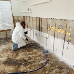 Mold Masters - mold inspection near me