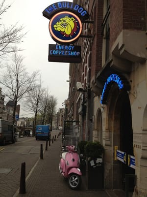 The Bulldog Hotel by null