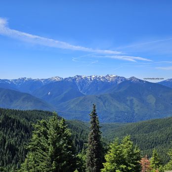 Hurricane Ridge - Olympic Mountains in the distance. View from Hurricane Hill Trail. - Parks Near Me - Port Angeles, Washington Hurricane Ridge - Olympic Mountains in the distance. View from Hurricane Hill Trail. - Parks Near Me - Port Angeles, Washington